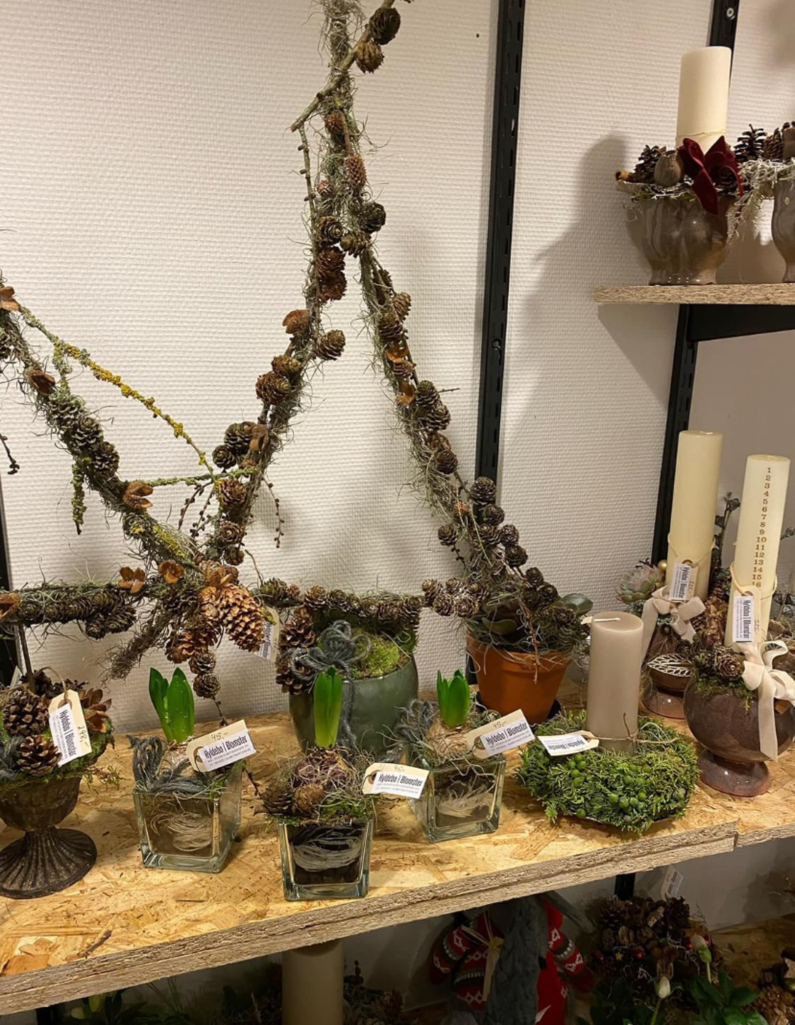Butikshylde med orkideer og sæsonplanter