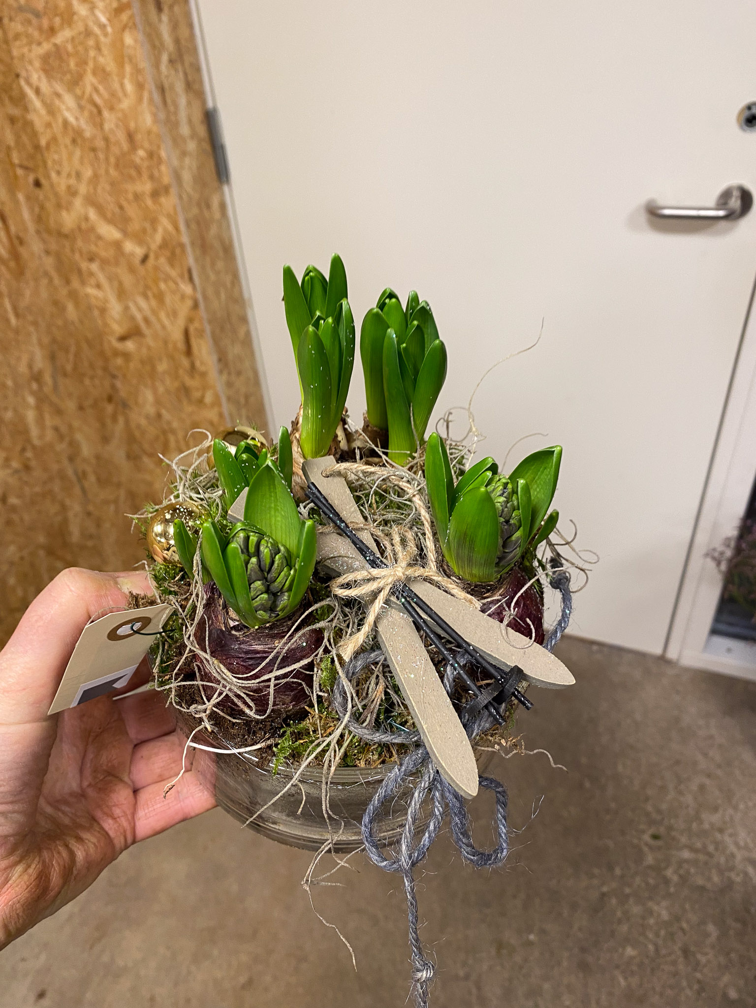 Butikshylde med potteplanter og lys