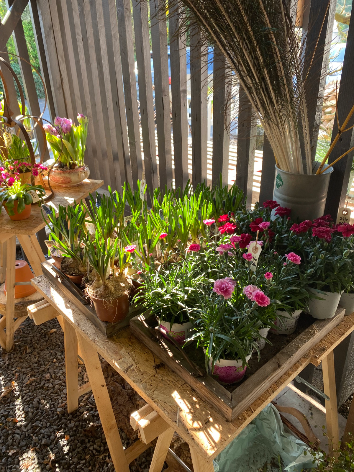 Farverige blomster og grønne planter samlet på et træbord