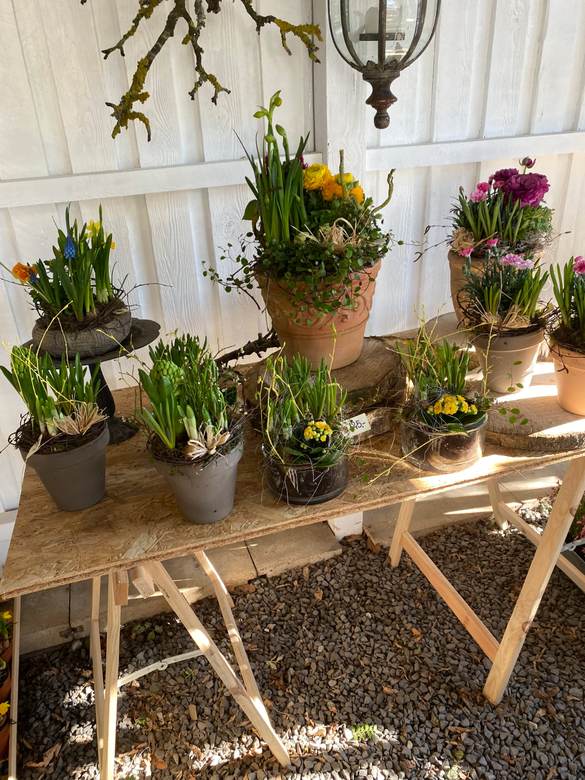 Udvalg af blomstrende planter og dekorationer foran butikken
